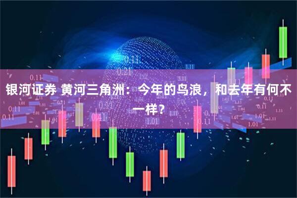 银河证券 黄河三角洲：今年的鸟浪，和去年有何不一样？