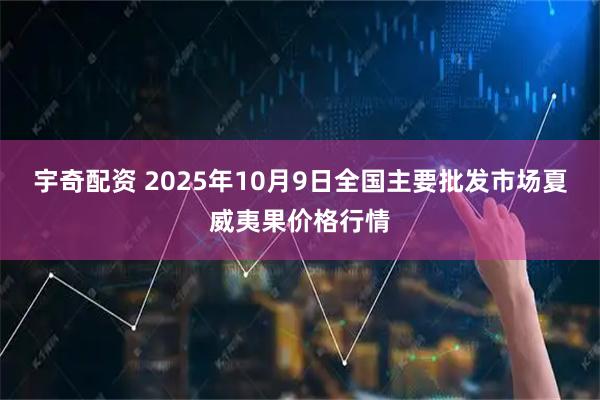 宇奇配资 2025年10月9日全国主要批发市场夏威夷果价格行情