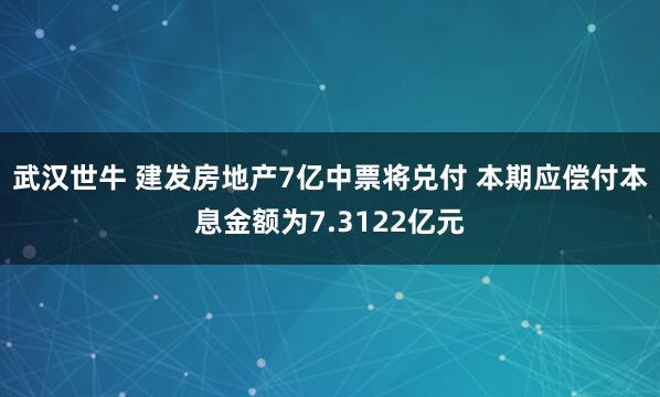 武汉世牛 建发房地产7亿中票将兑付 本期应偿付本息金额为7.3122亿元