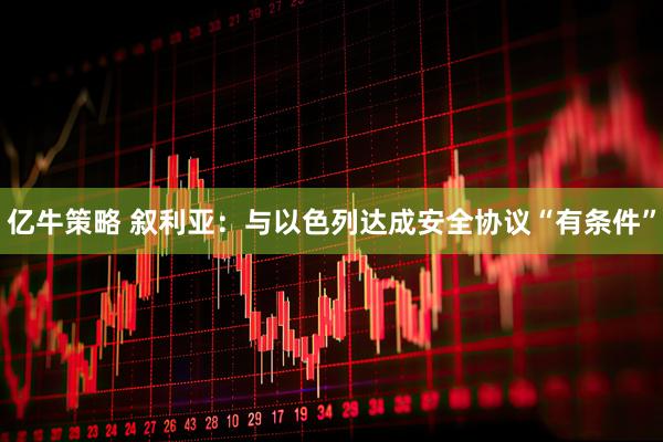 亿牛策略 叙利亚：与以色列达成安全协议“有条件”